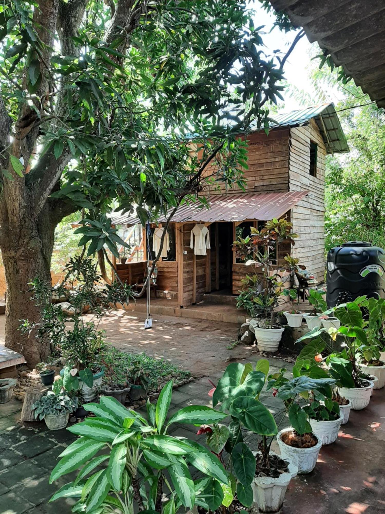 Serenity House In ダンブッラ エクステリア 写真