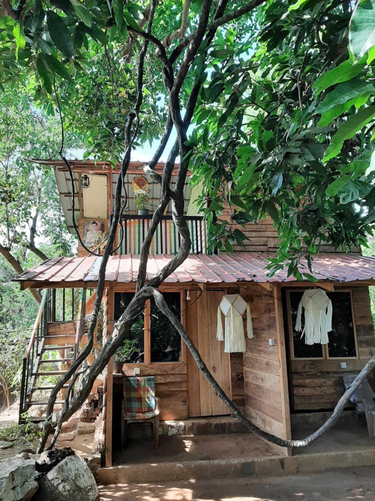 Serenity House In ダンブッラ エクステリア 写真